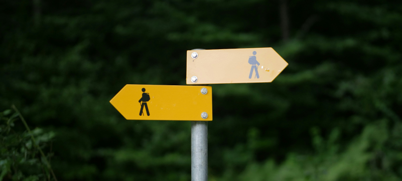 decision