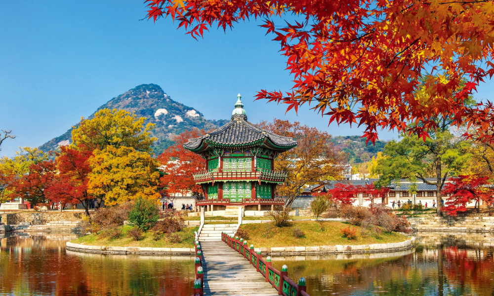 韓国